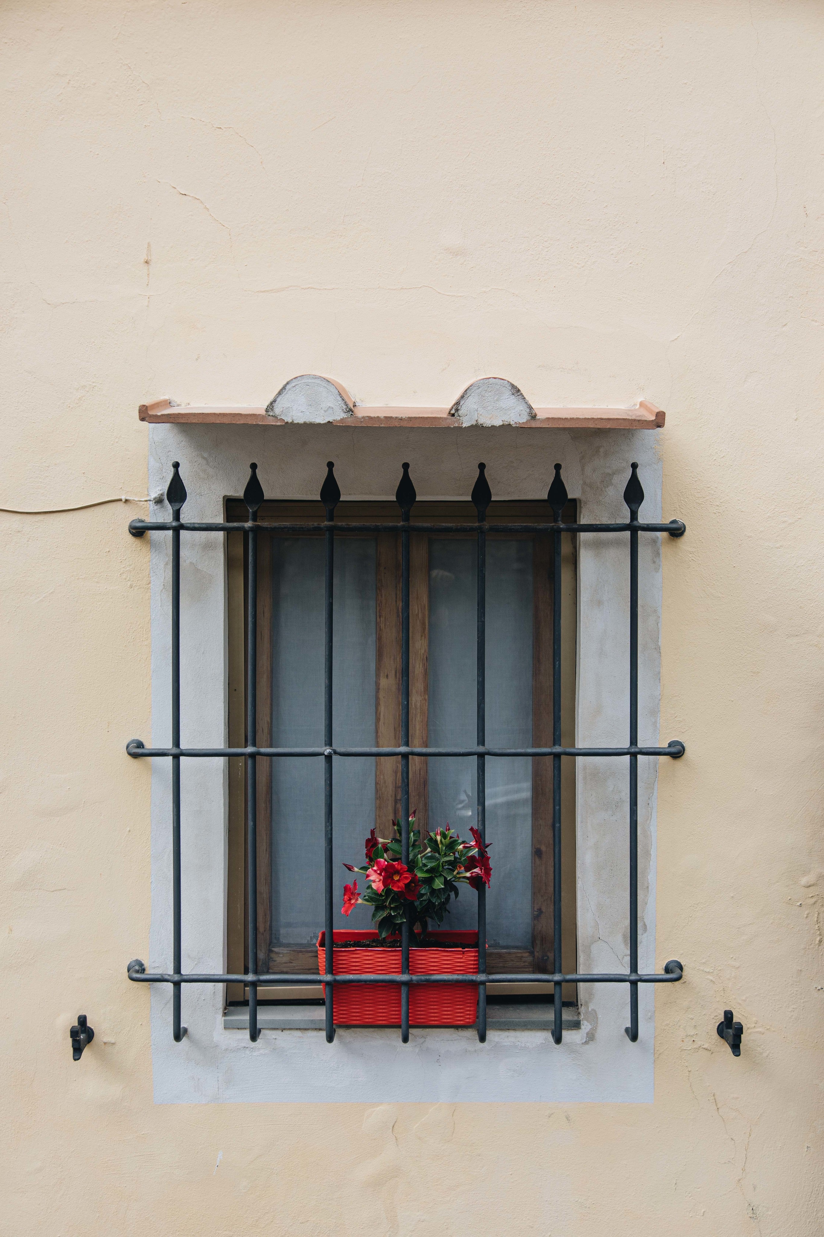 Window Refresh | Level 1